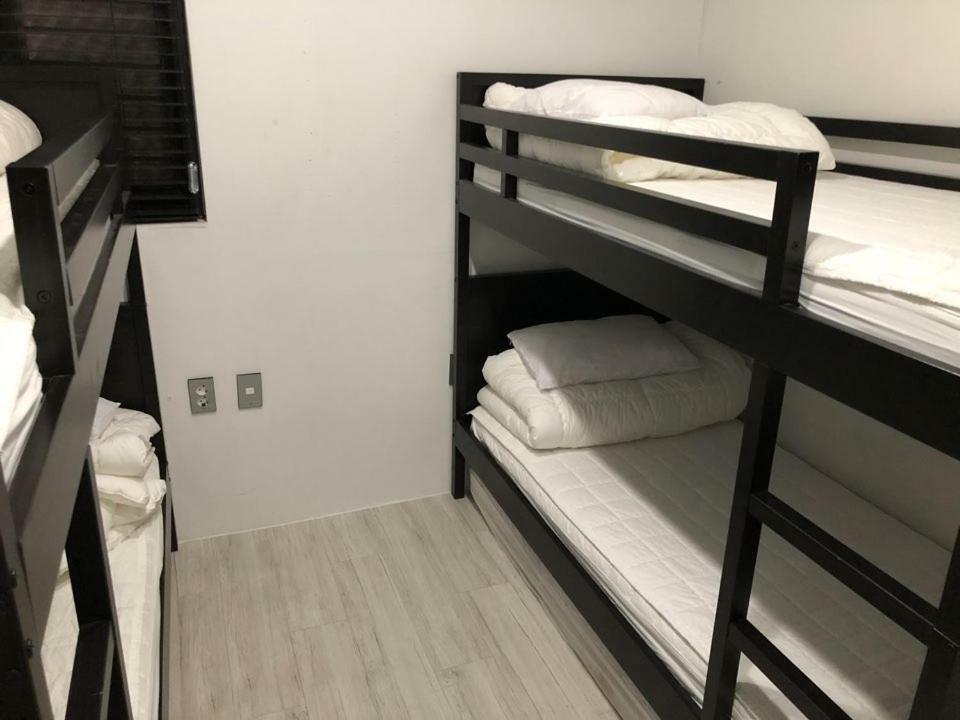 סיאול Amazon Guesthouse מראה חיצוני תמונה