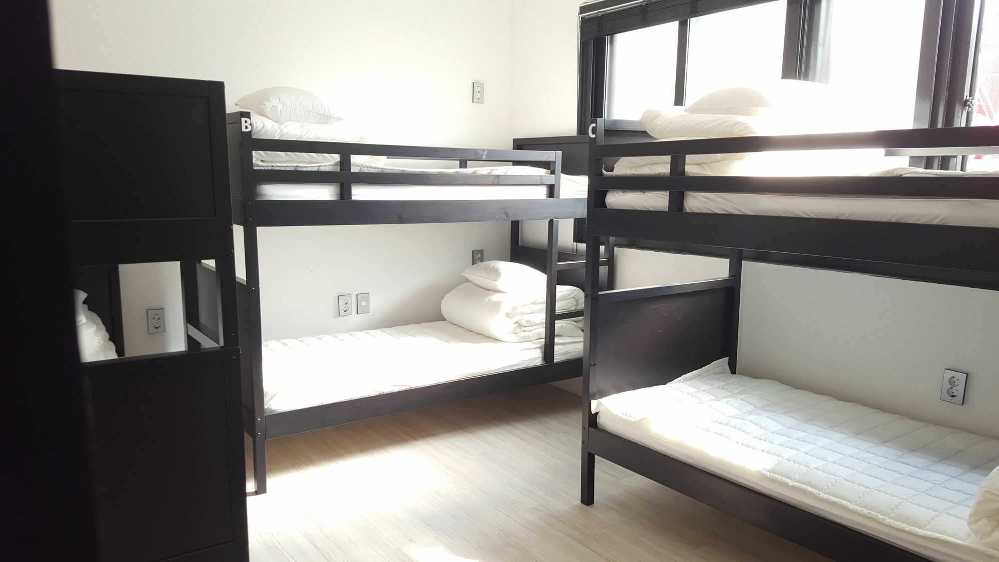 סיאול Amazon Guesthouse מראה חיצוני תמונה