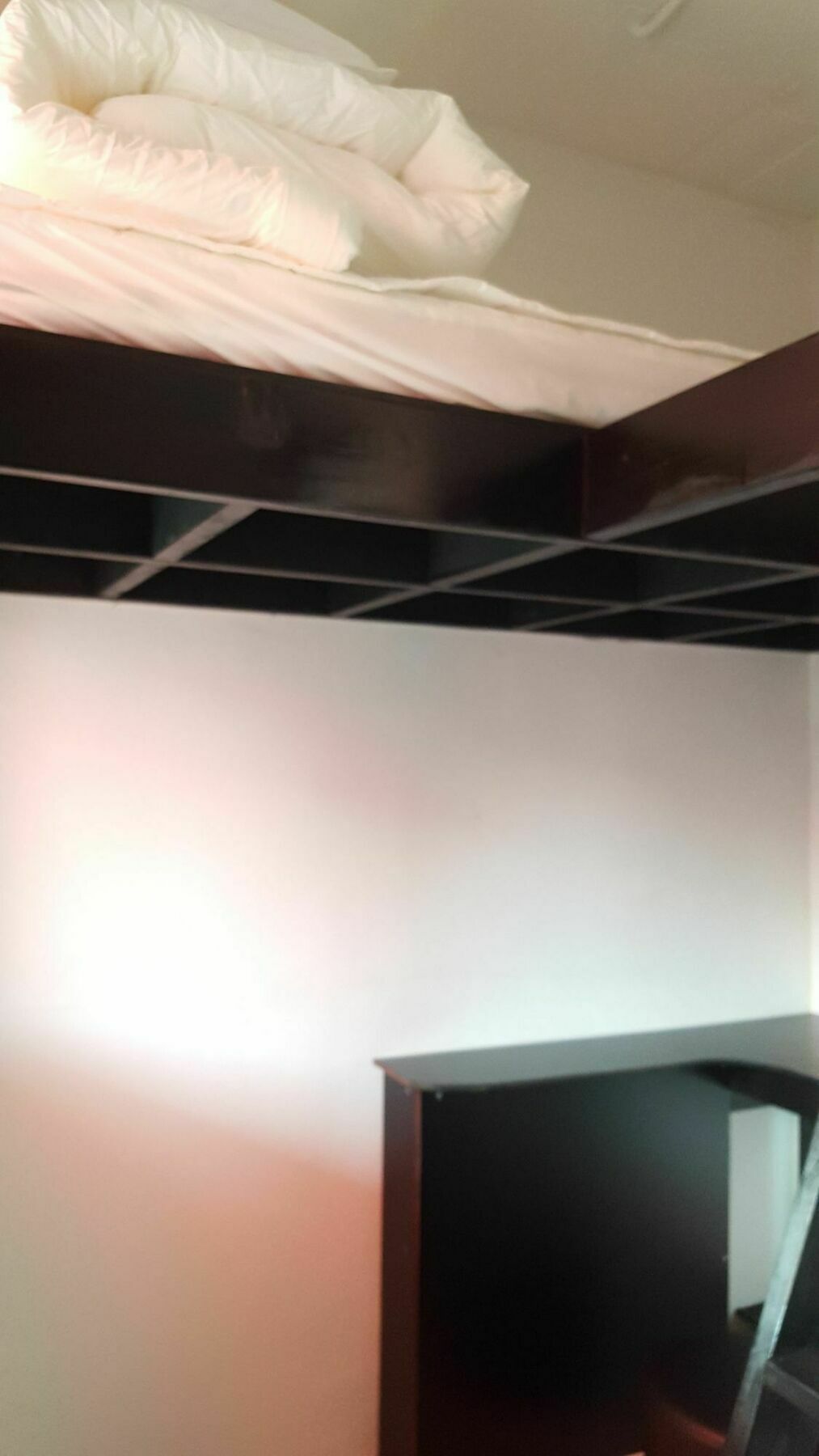 סיאול Amazon Guesthouse מראה חיצוני תמונה