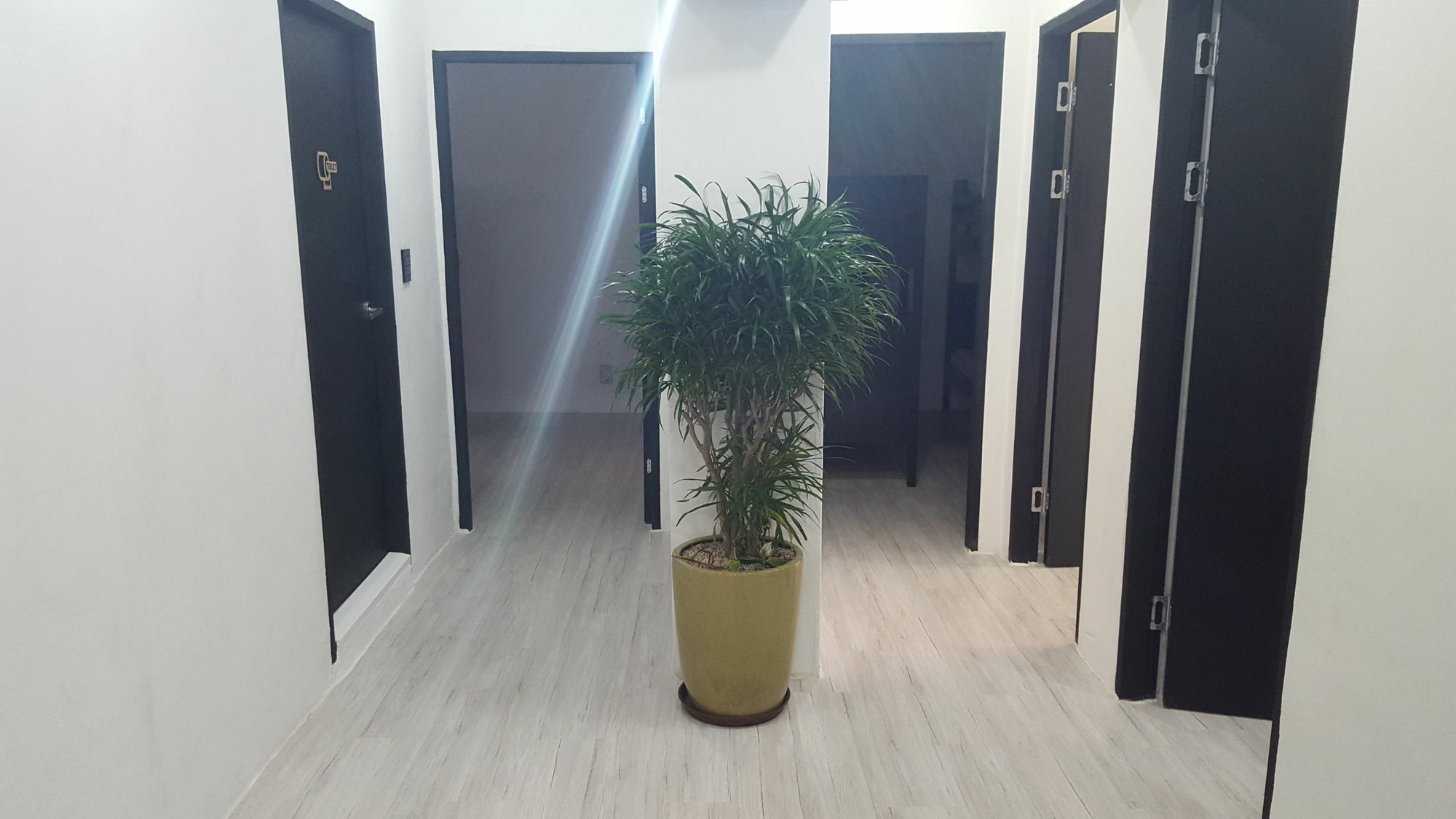 סיאול Amazon Guesthouse מראה חיצוני תמונה