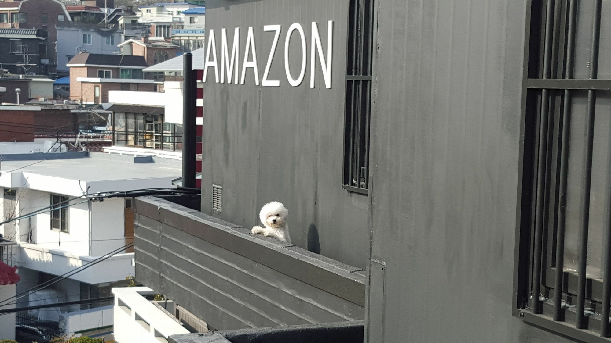 סיאול Amazon Guesthouse מראה חיצוני תמונה