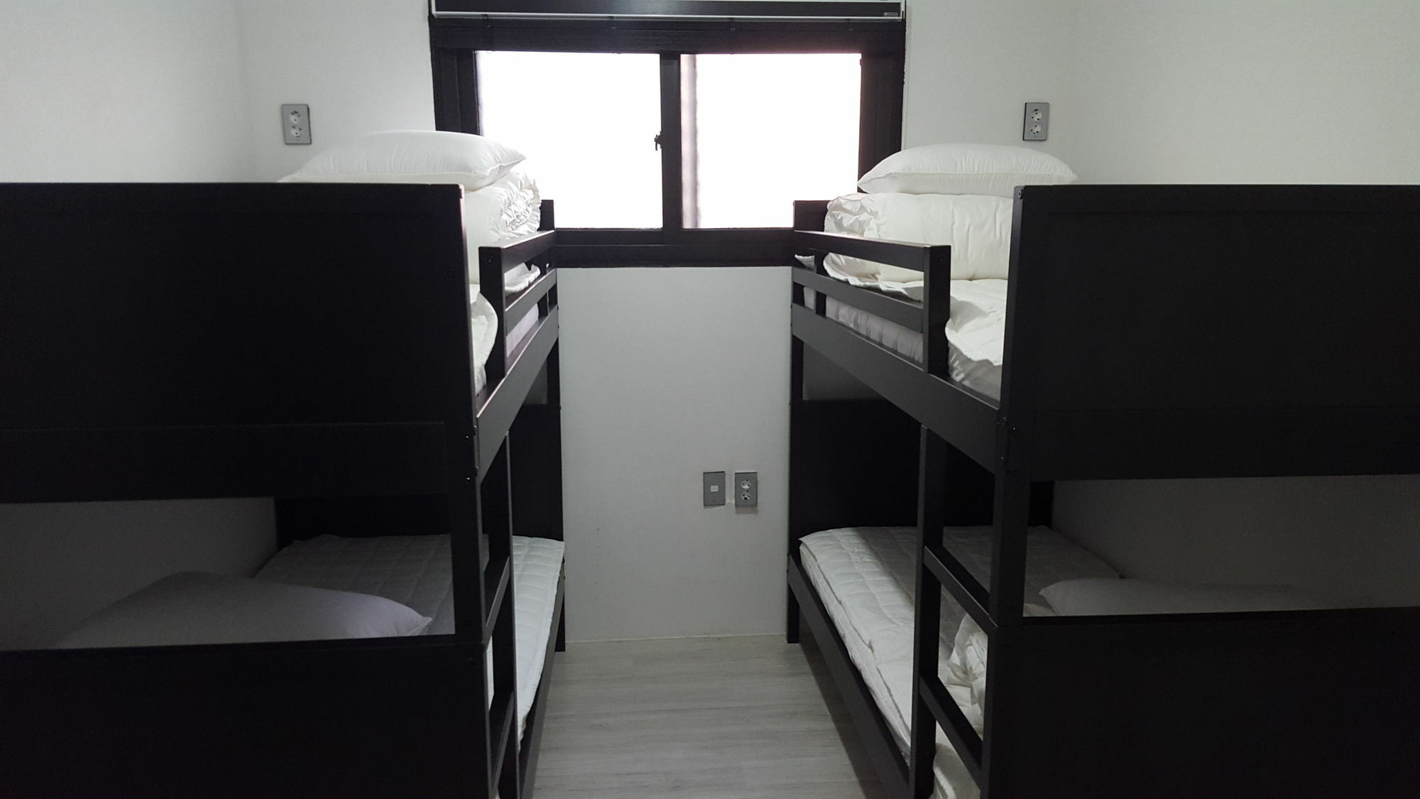 סיאול Amazon Guesthouse מראה חיצוני תמונה